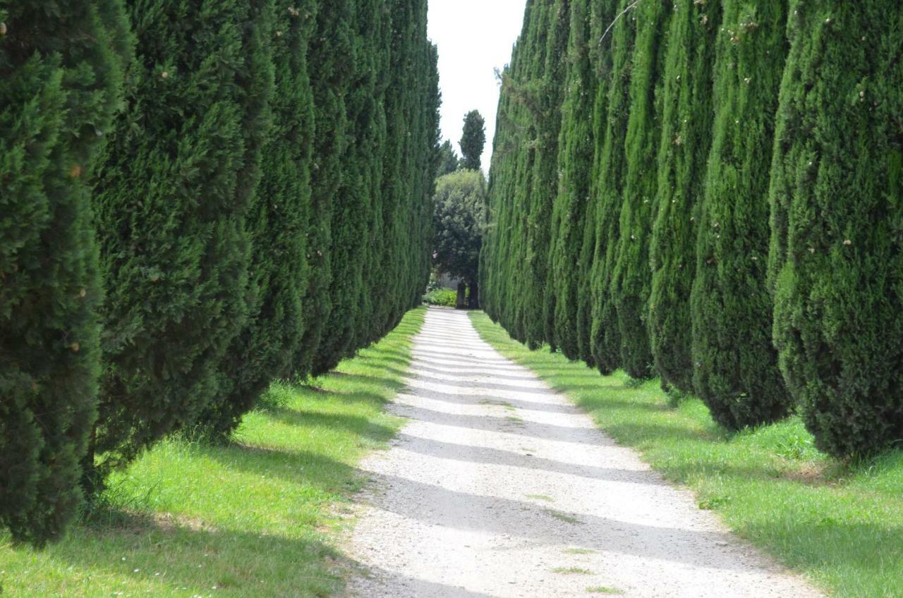 Casale Colleoni Bed & Breakfast Tivoli Exterior photo